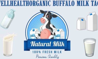 WellHealthOrganic Buffalo Milk Tag: Your Nutrient-Rich Dairy Upgrade