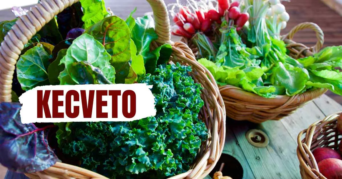 Kecveto: The Ultimate Guide