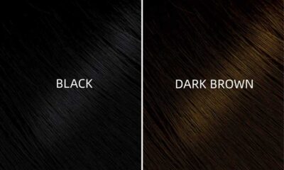 Black Vs Dark Brown Hair: Understanding the Key Differences