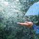 Ploaie: Nature's Gift of Rain