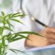 The Importance of Cannabis Potency Testing in Ensuring Product Quality and Consumer Safety