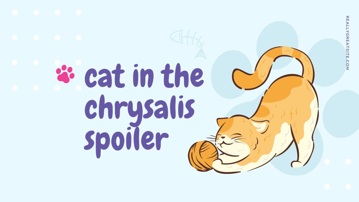 Unveiling the Enigma: Cat in the Chrysalis