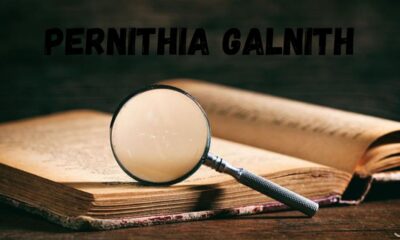 The Enigmatic World of Pernithia Galnith: A Mysterious Phenomenon