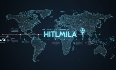 Hitlmila: Exploring the Emerging Digital Term and Its Potential Influence
