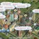 SimpCity: The Ultimate Guide to the Popular Simulation Game